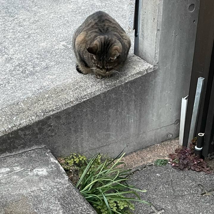 F3402dd6 590f 4657 a4dd 22a9d01d5066 1643360592214