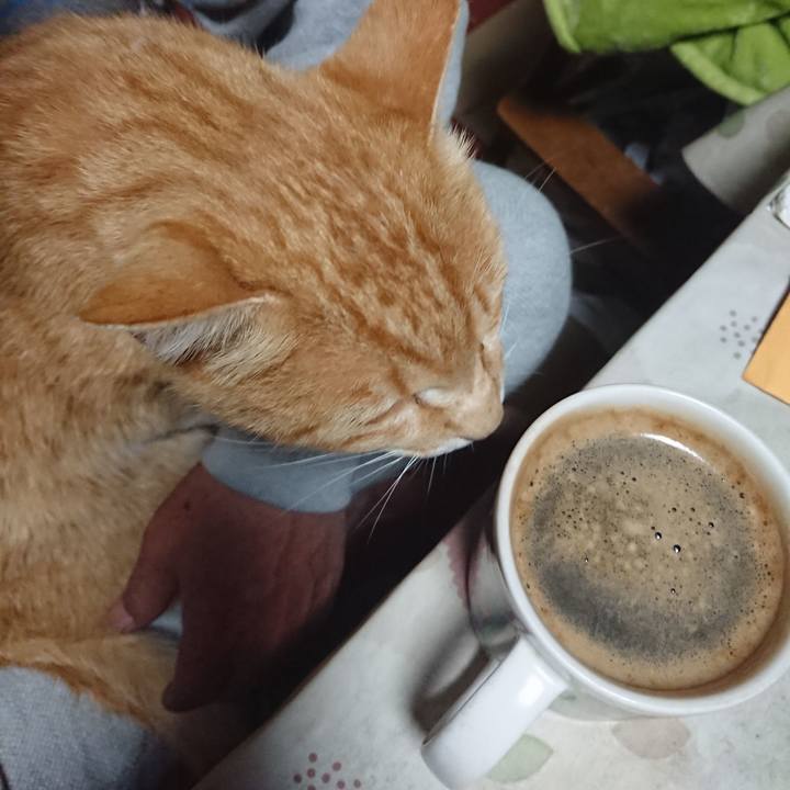 F340379b bbe7 4a85 ba74 485e1281b4e8 1590781889862