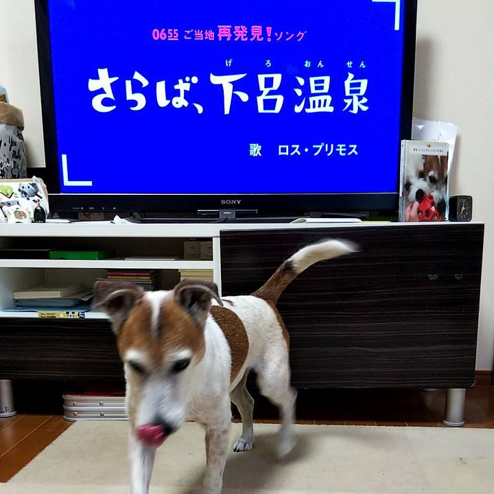 F3403ba8 cf5f 4f53 a55e 0da29737df4d 1559168091091