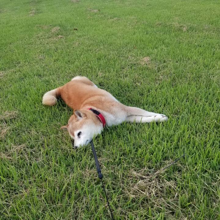 F340e54e 0166 41ff b77d 50ced81a2ab2 1723368609005