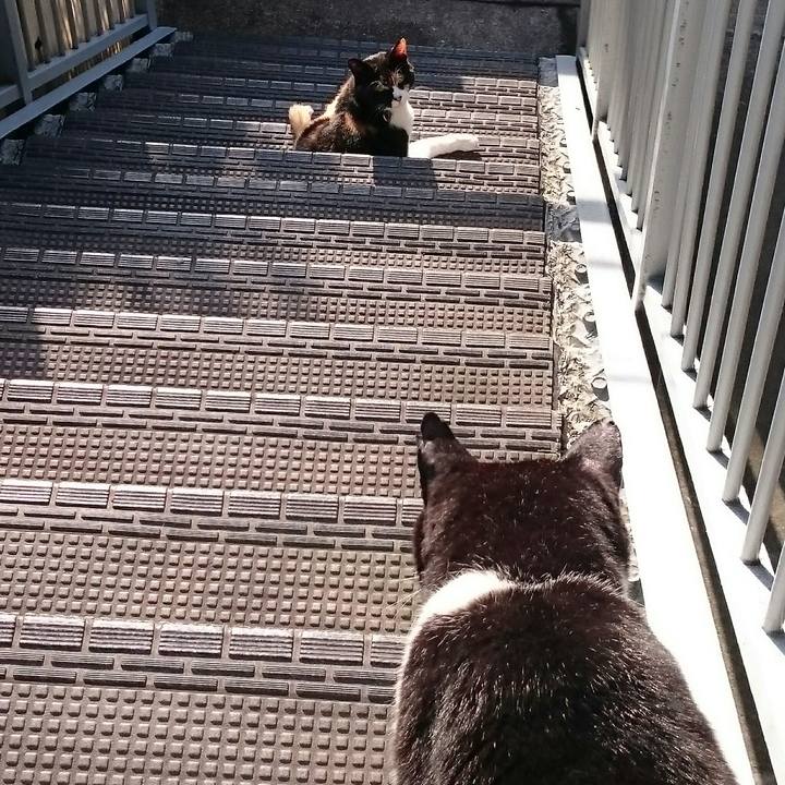 F340f7d4 a57c 4a72 b2ba d7f7dc61ca70 1525989977852