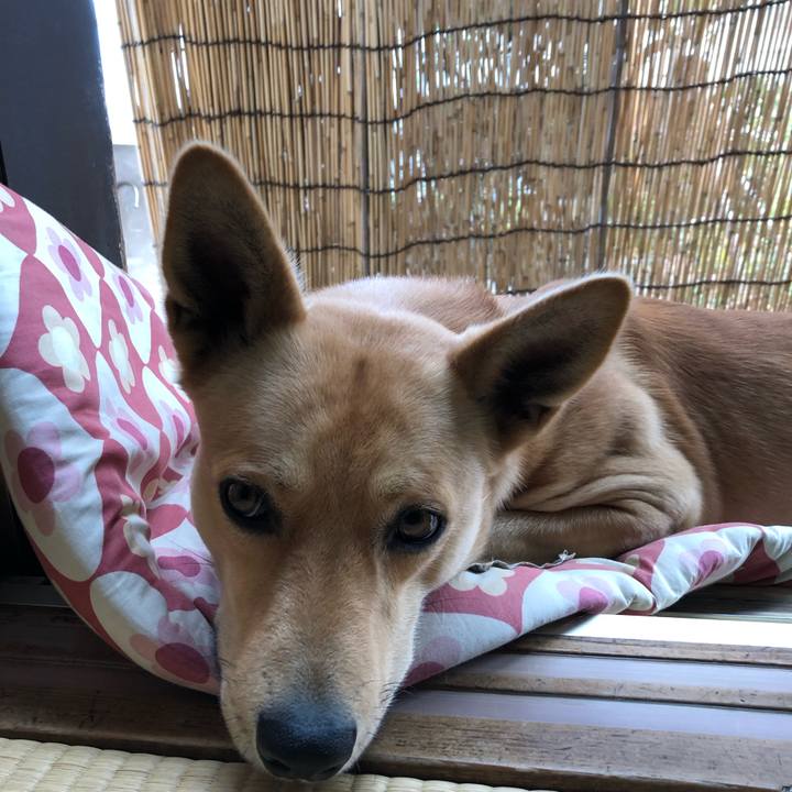 F340f7f3 2688 4ea0 8a15 1d91e673f31a 1543027137241