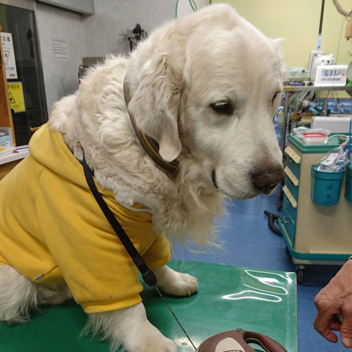 F34132ee 6315 44fd b8eb 24b73bc964fc 1554306880117