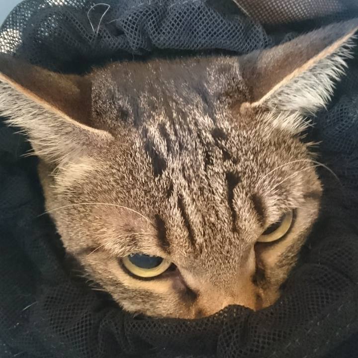 F3416082 3134 4401 b40b e695417123e3 1509152702696