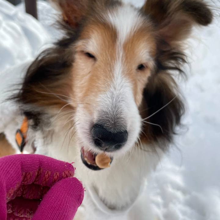 F34162f8 683d 4449 a7d9 ed555e9a3f77 1646387251435