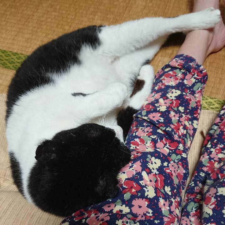 F3416773 5d83 42de 884e 575c7a8d27bd 1601462316040