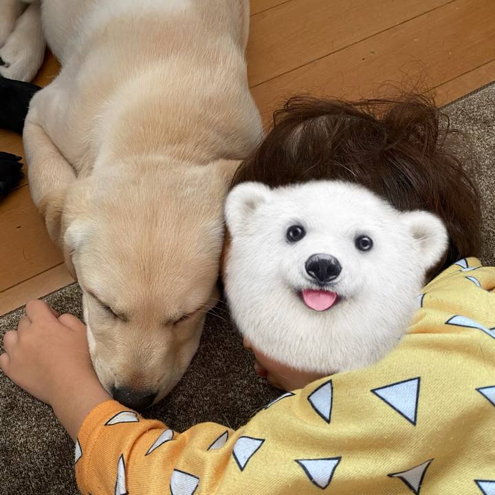 F3417d79 2970 4152 b39f 89af38affe36 1612834976352