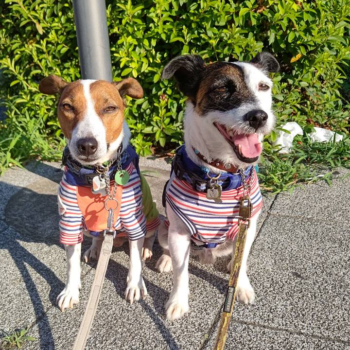 F3418ee9 6d8a 4eb9 8b0f 1ede3dd169c5 1656365494318