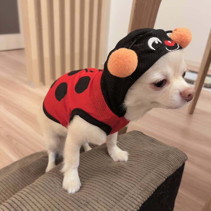 F3419646 2cff 481c 9e97 caa0e8eea0cc 1725285352788