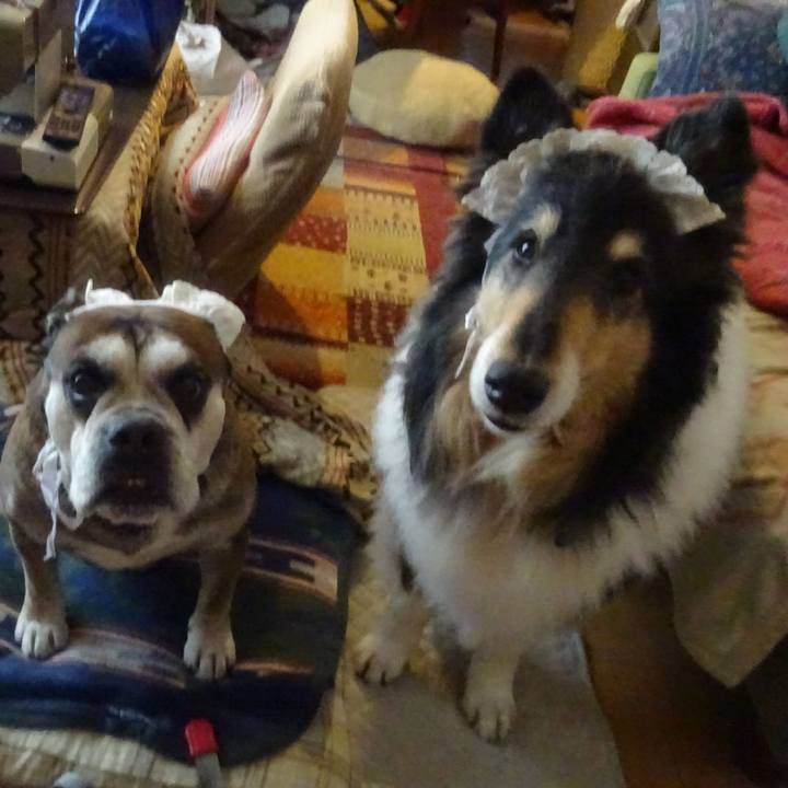 F341e080 c20f 48d2 8a4e d06c5c613610 1583239083919