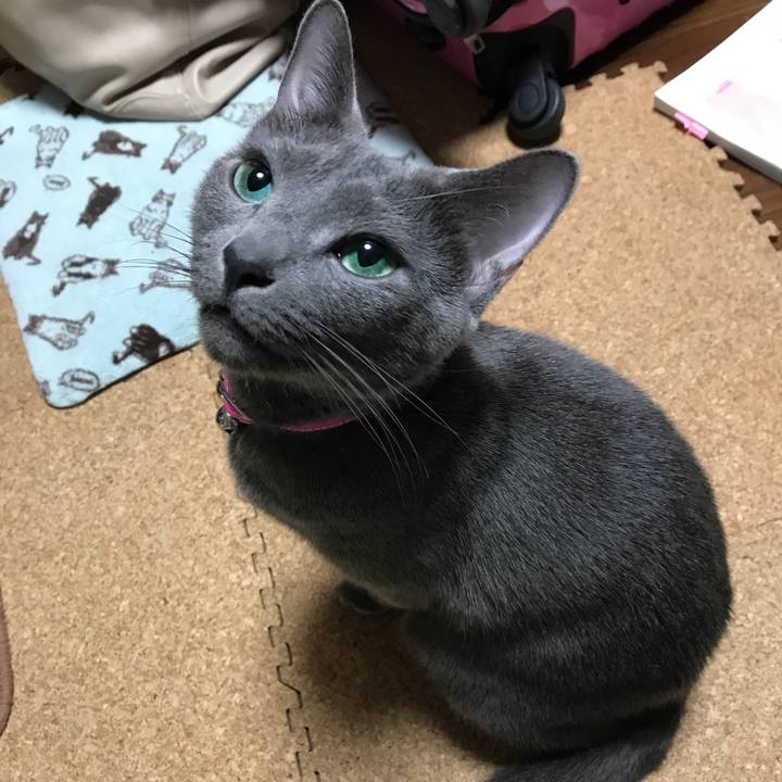 F341ec4d 0566 4dc8 8b00 c96cd6e6a3f7 1520175775474