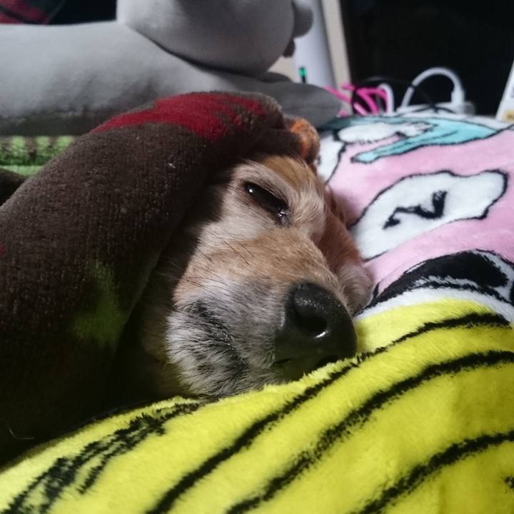 F341ff3a f5aa 4fd0 a19c 626d9c1dd0d0 1577296437663