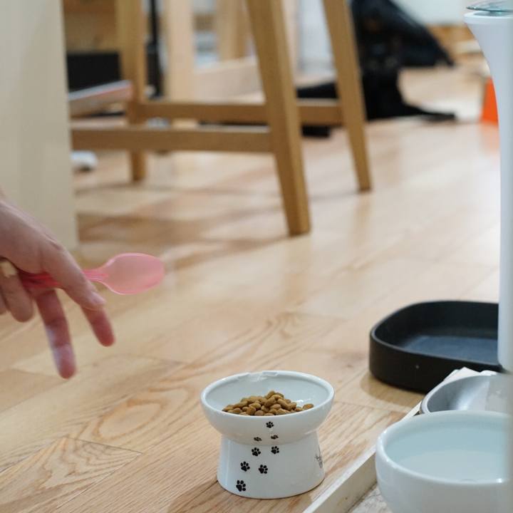 F3422355 2ee6 40a2 91ae 834cfe904654 1530056441895