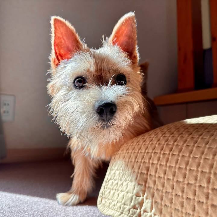 F342418c 02d5 4cde 85b2 3dd97e7ba66e 1729433242215