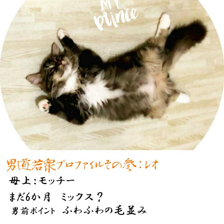 F3426099 37ad 45d1 aad0 21416b4ea68d 1567422646322