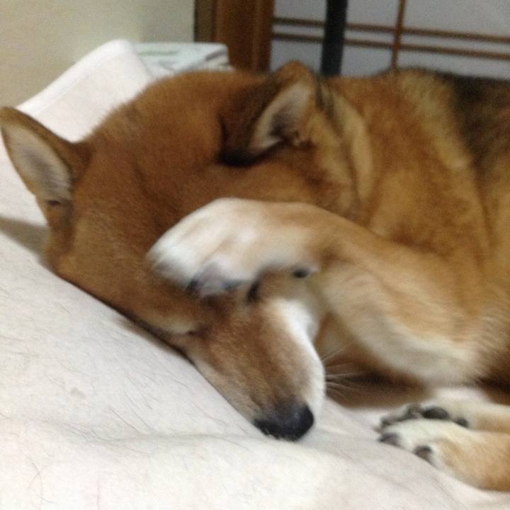 F3426da5 57f6 4976 9402 190ac507d355 1539438099706