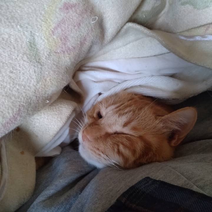 F3427672 f6dc 4af9 929c 2e0774a0ef9c 1764389998942