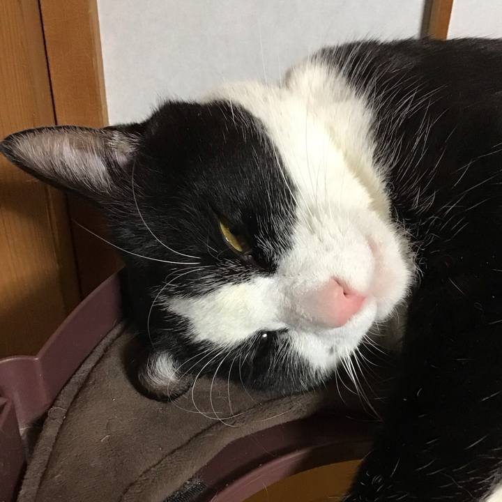 F3427951 617b 410e bfec 04c0b2ff92ef 1677154261287