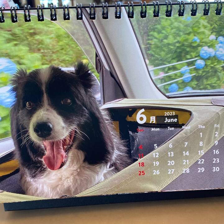 F3428307 02e4 4f04 a700 e172d5452878 1685565016724