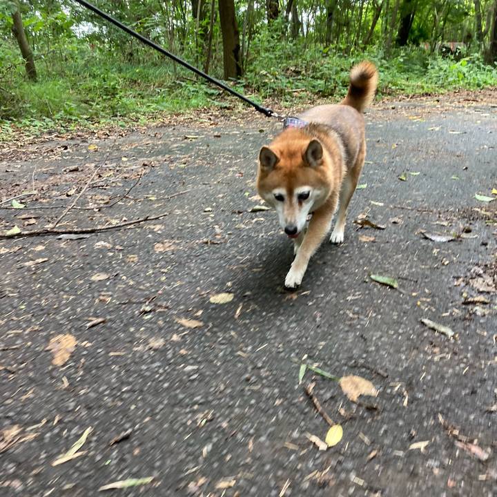 F34289cc 94b2 4b22 af9c efdad52e8cea 1662714685206