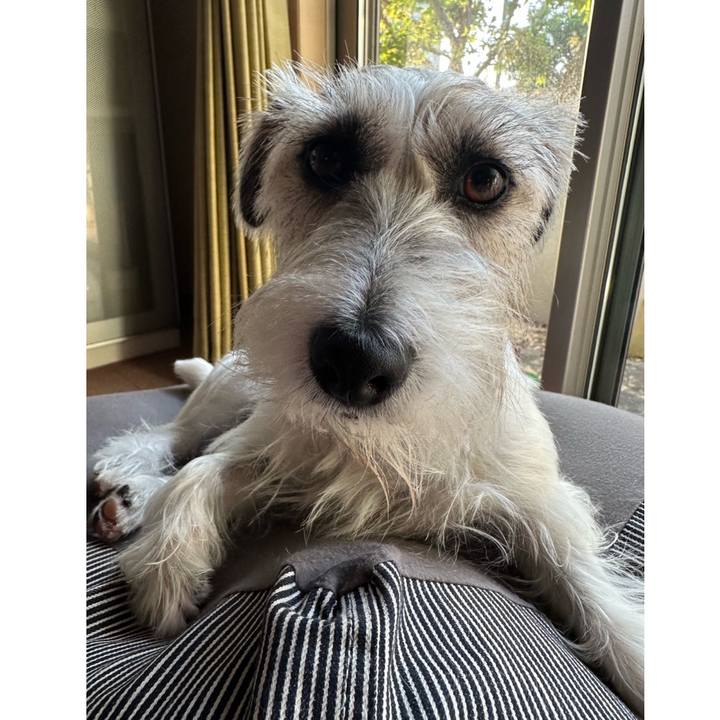 F342e6eb 224b 4a14 bd38 3a5360510515 1698963715044