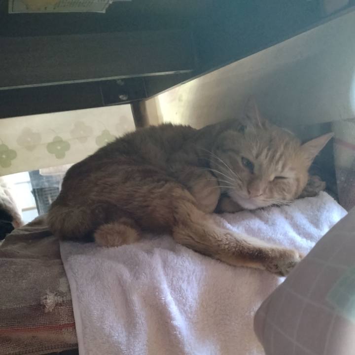 F3430029 6314 45ee a697 6cea52db126a 1668811956740