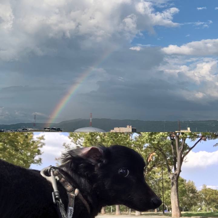 F3430401 35d8 4e7c 9043 42f8dac87d09 1626420256741