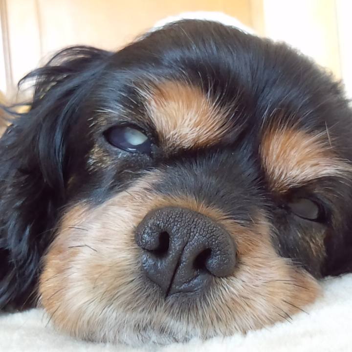 F3431092 ab0d 47a6 afe2 fd33b5e66756 1558794064990