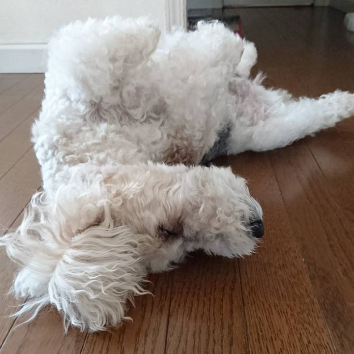 F34314bb 7463 449f aa66 8116e9b7a310 1561680960984