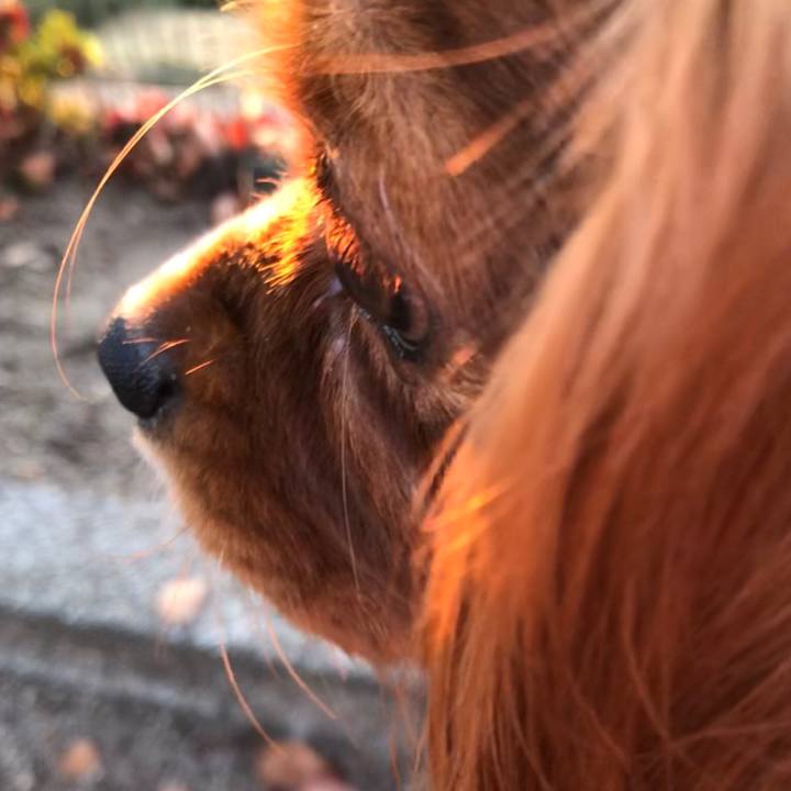 F3434e72 2919 4914 aa82 7f8794cf4bfc 1543404327576