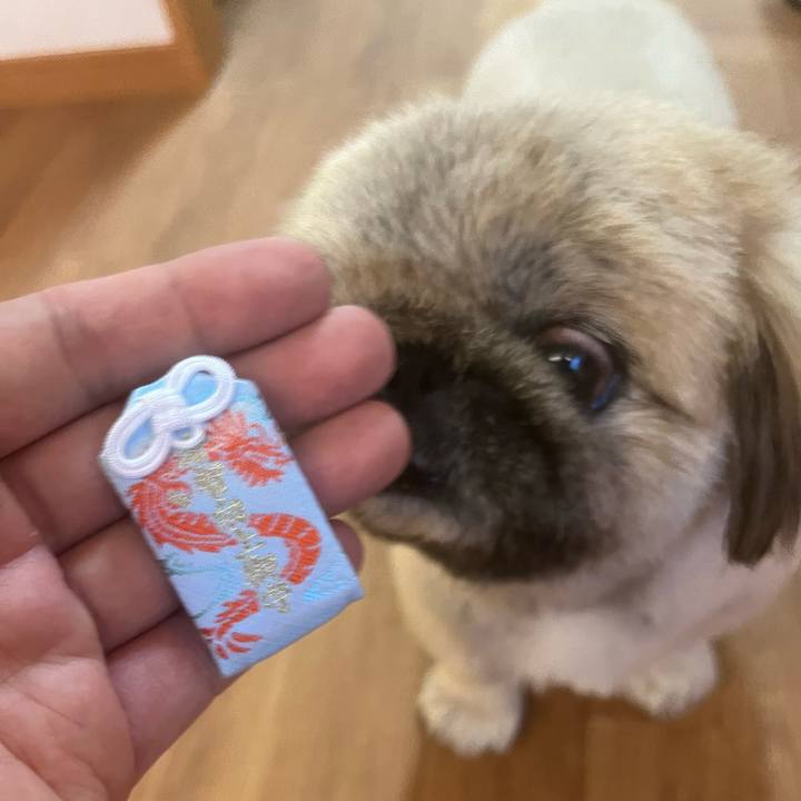 F3435f3d ecc2 471e be9e 7c9041714ecf 1717027105272