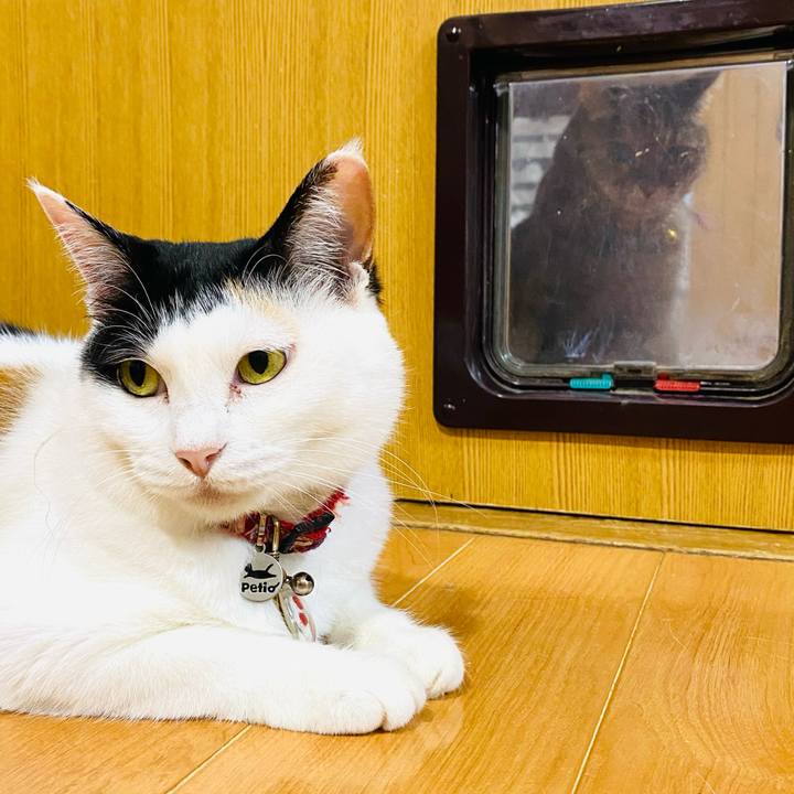 F3436579 2ccc 4370 a5a5 b4832c83f13f 1750514124268