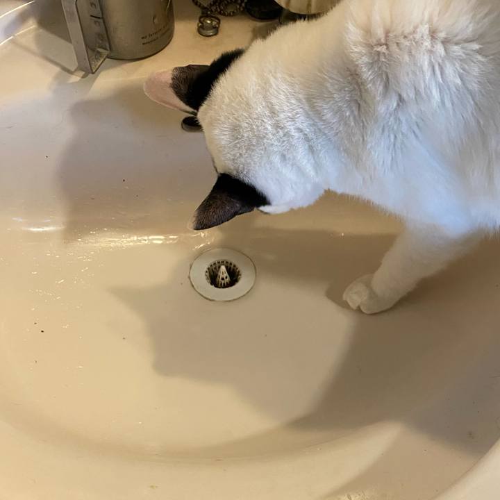 F3436bca 3558 41ed 9a1b 1c25194b59bb 1732792983210