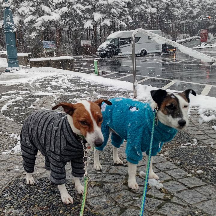 F34395d0 a6ce 4c6a aeaf 8c10790429fb 1648938320876