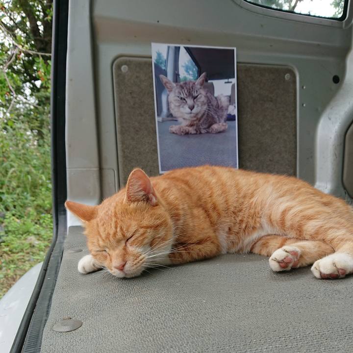 F343be0e 7c67 42c0 9b8c 8fe406eae8df 1601169981173