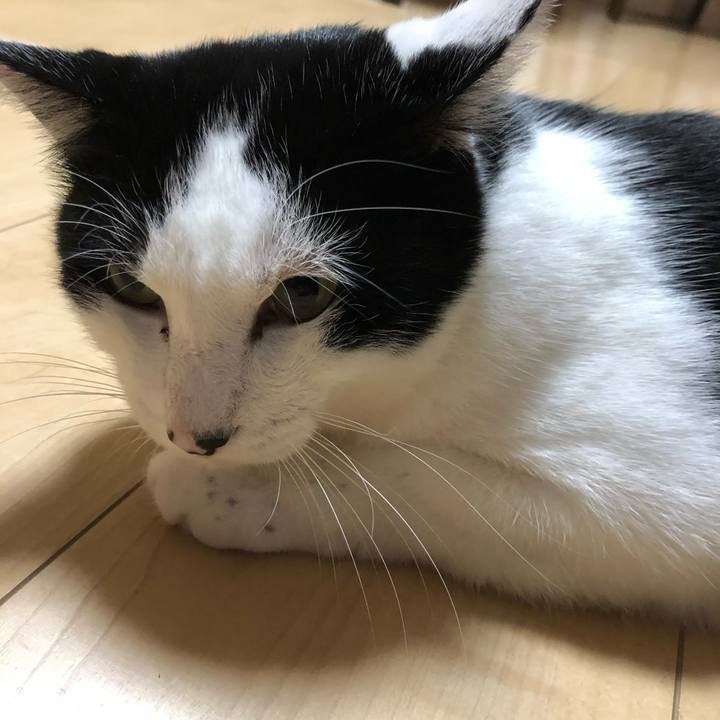 F343def1 efe2 4c96 bb7d 9637855e2eac 1572886361755