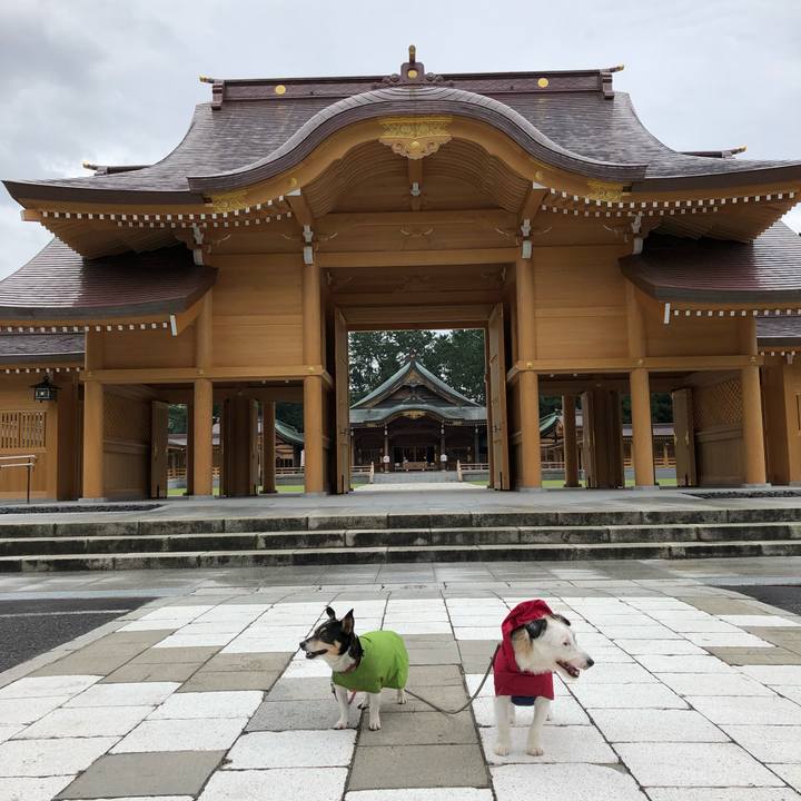 F343f438 09b2 46b3 9657 29781c3f2723 1536276740606