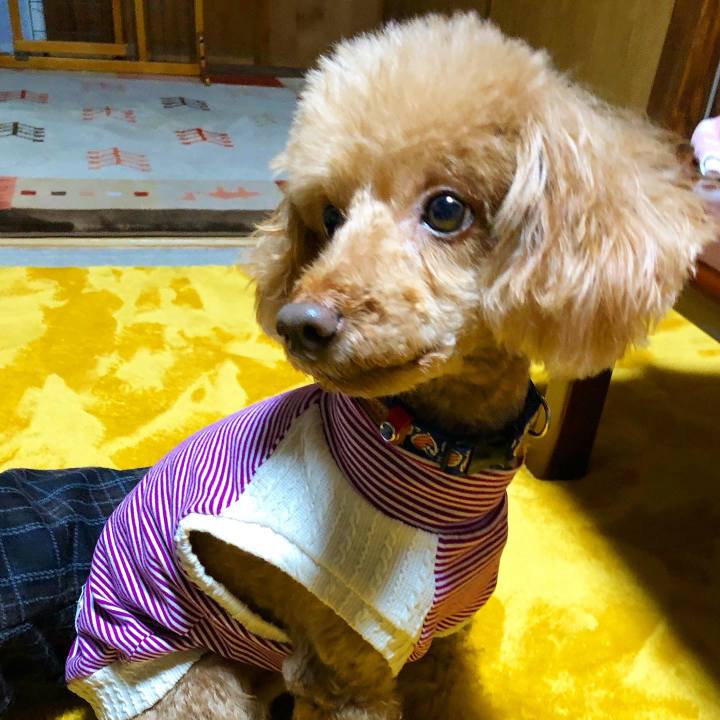 F343fbff af3c 4822 be4a 9b8726573ab3 1667695468508