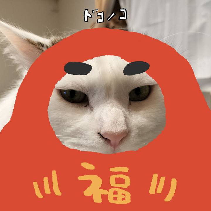 F3443cb5 3230 4869 bdb4 bcf90a268fb8 1771904120858