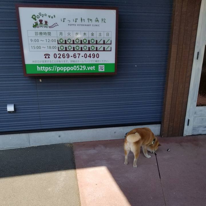 F3444bce bae5 4f4f a425 abd33ce67128 1654128914874