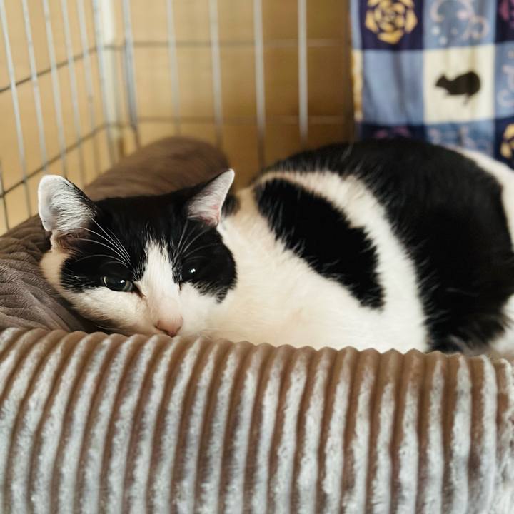 F3449768 4d19 49e5 88bf 11bda562825b 1710034623916