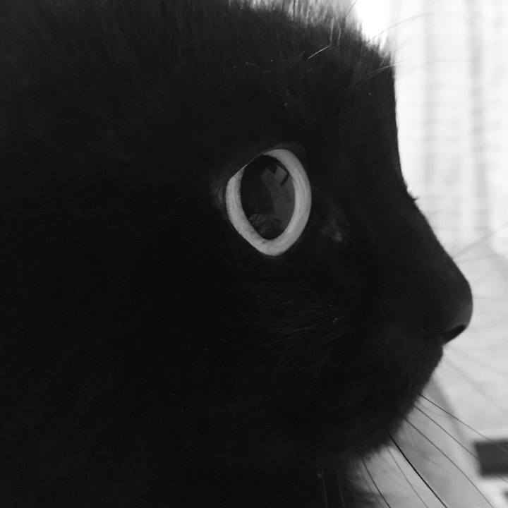 F3449f50 be28 4164 a96b bc300610bf57 1527523461471