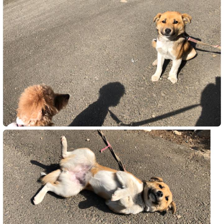 F344a5c1 98bd 485d 8a4b 973e74047a87 1614596434429