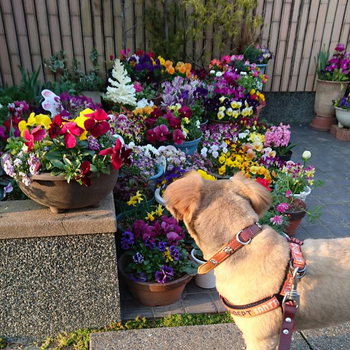 F344b844 0b6e 4f87 bfe2 da076bc0d253 1520937458853