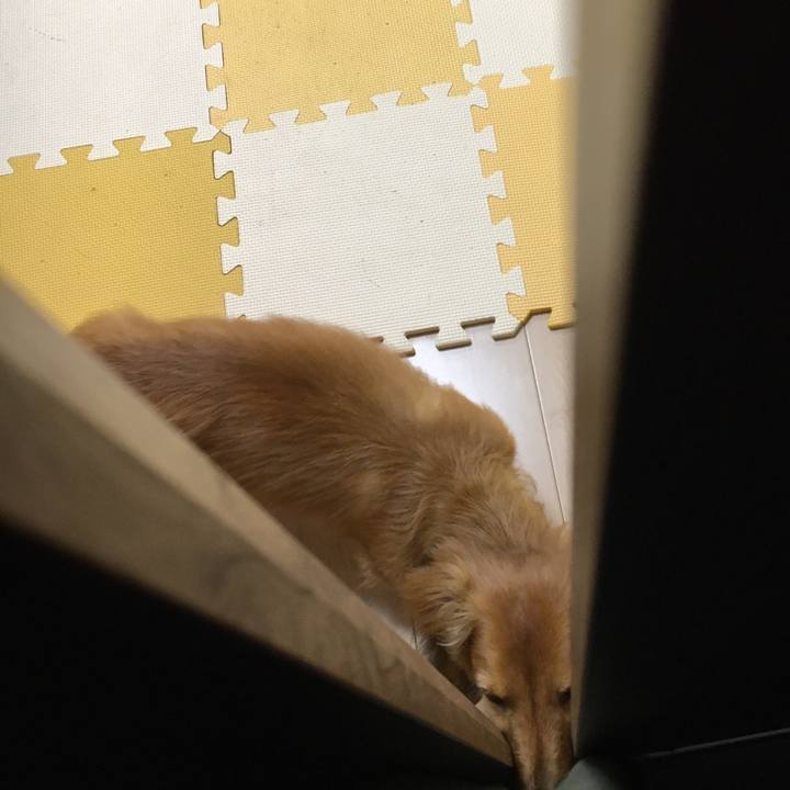 F344ed65 d6f7 415b a9d2 b43af1a0f268 1591535000380