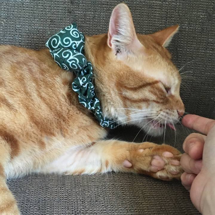 F3450b13 10d2 46d4 a3f4 ee398c13ec3d 1535859640388