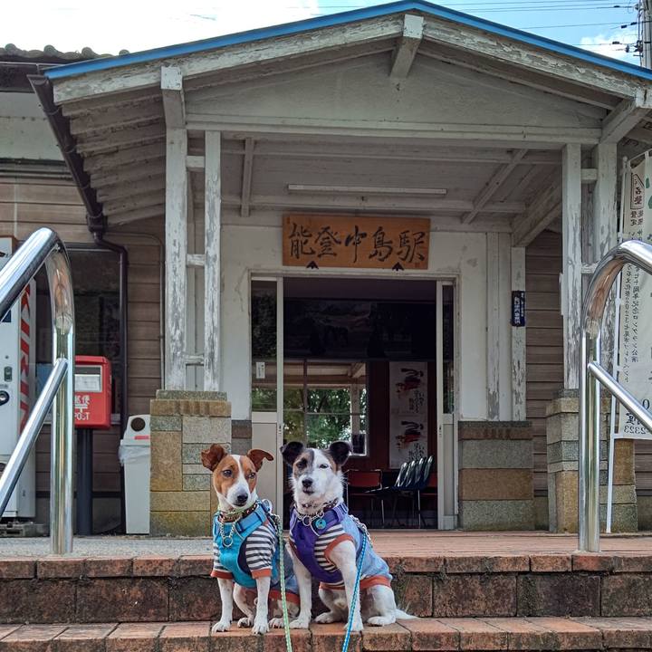 F34525dc 91f9 47e8 af12 53884d44082e 1658010078341