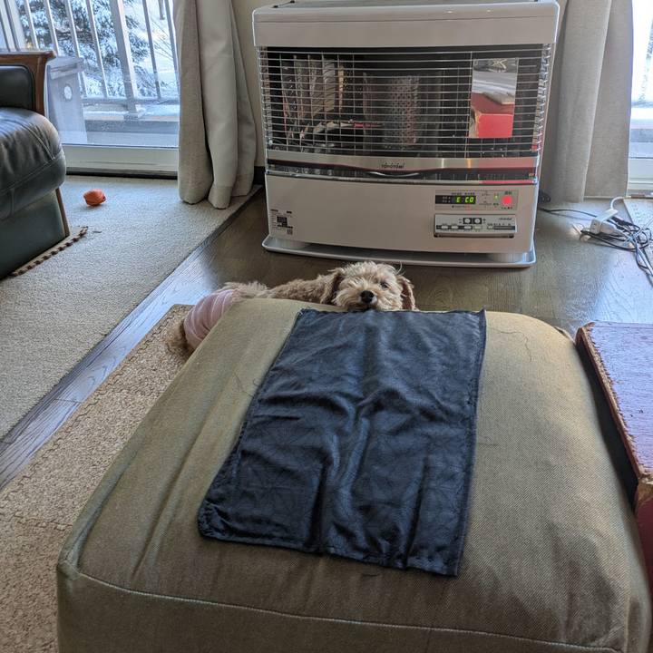 F3453f5a bad4 4ef9 8fd1 ba2608af01c6 1773007133367