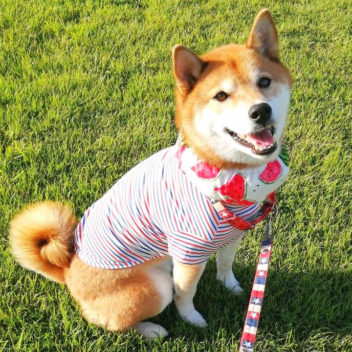 F3454cd7 2792 4bc9 a123 479e417c33cd 1661950703521