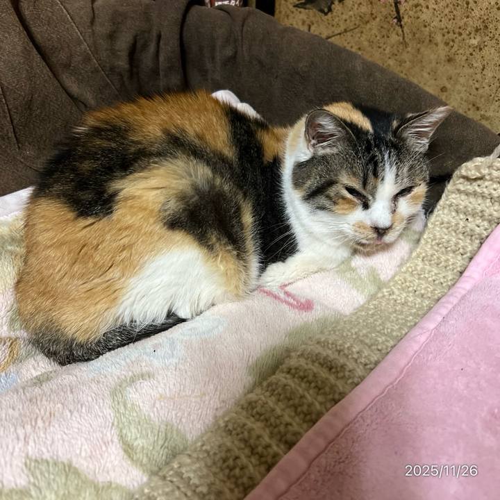 F3454d4b 3778 4586 b9e1 54ae24d76b60 1764107983604